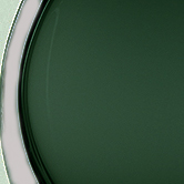 Forest Green & Clear (Solitaire)