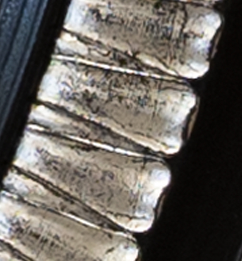 Ebonised & Silver Gilt